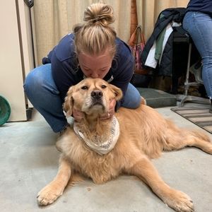 Meet your Posher, Lydia